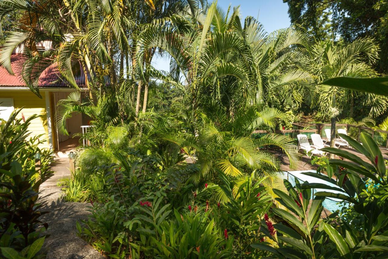 Les Jardins De L'Esperance Villa Bouillante Luaran gambar