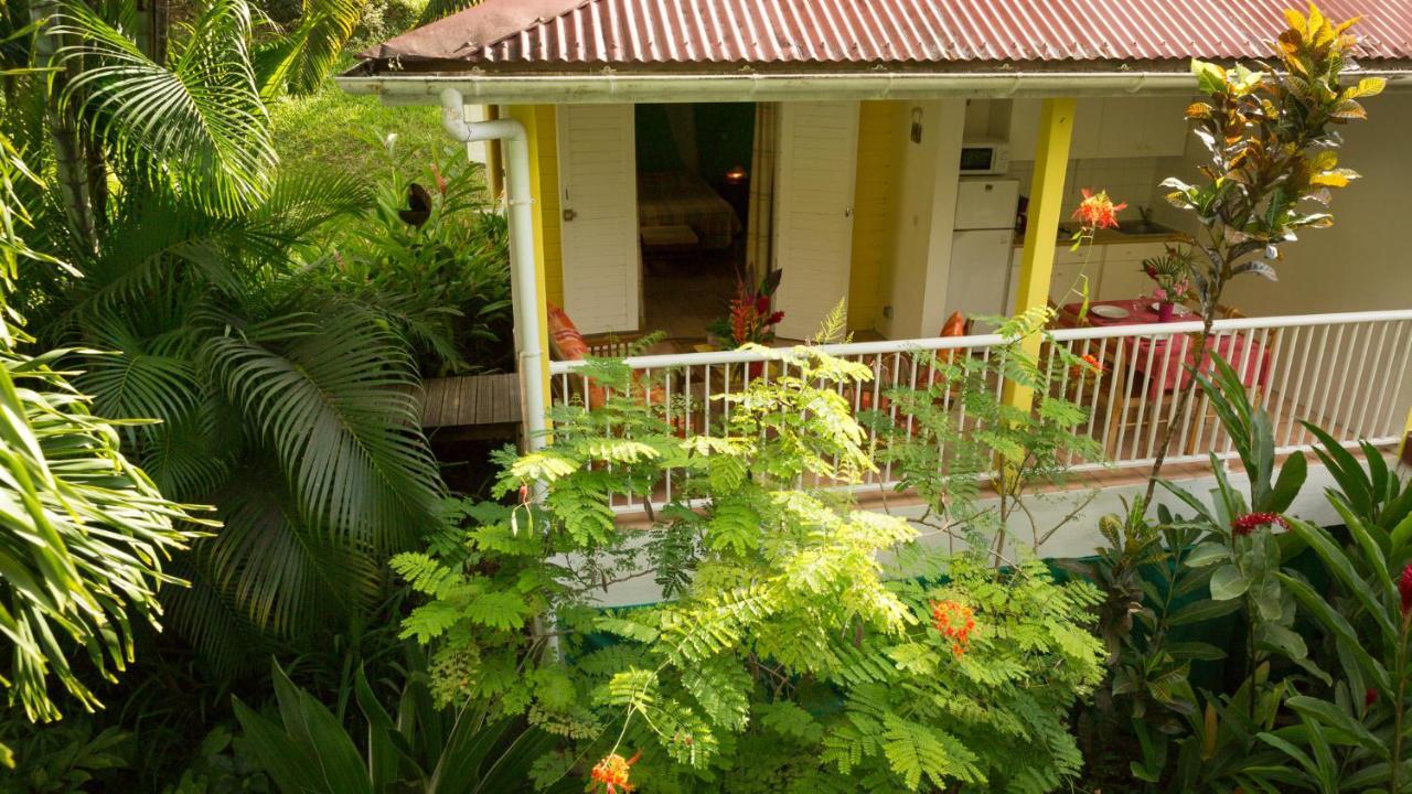 Les Jardins De L'Esperance Villa Bouillante Luaran gambar