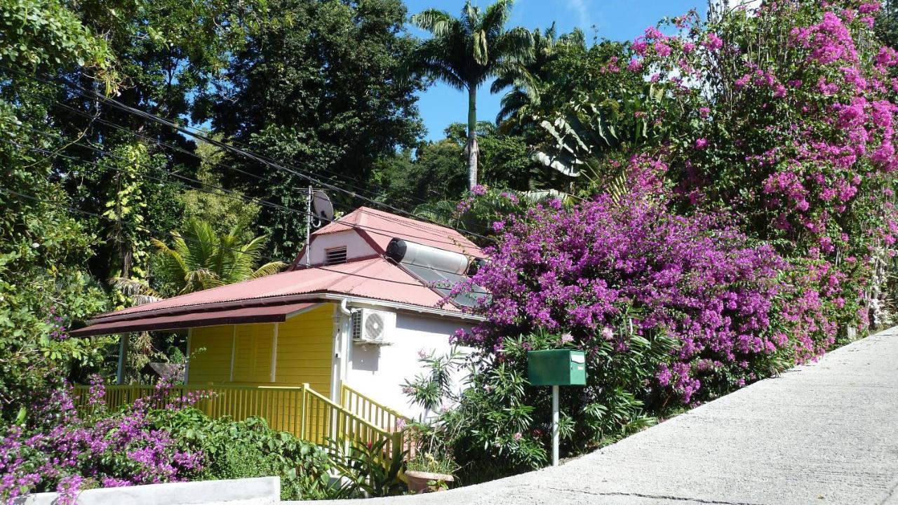 Les Jardins De L'Esperance Villa Bouillante Luaran gambar