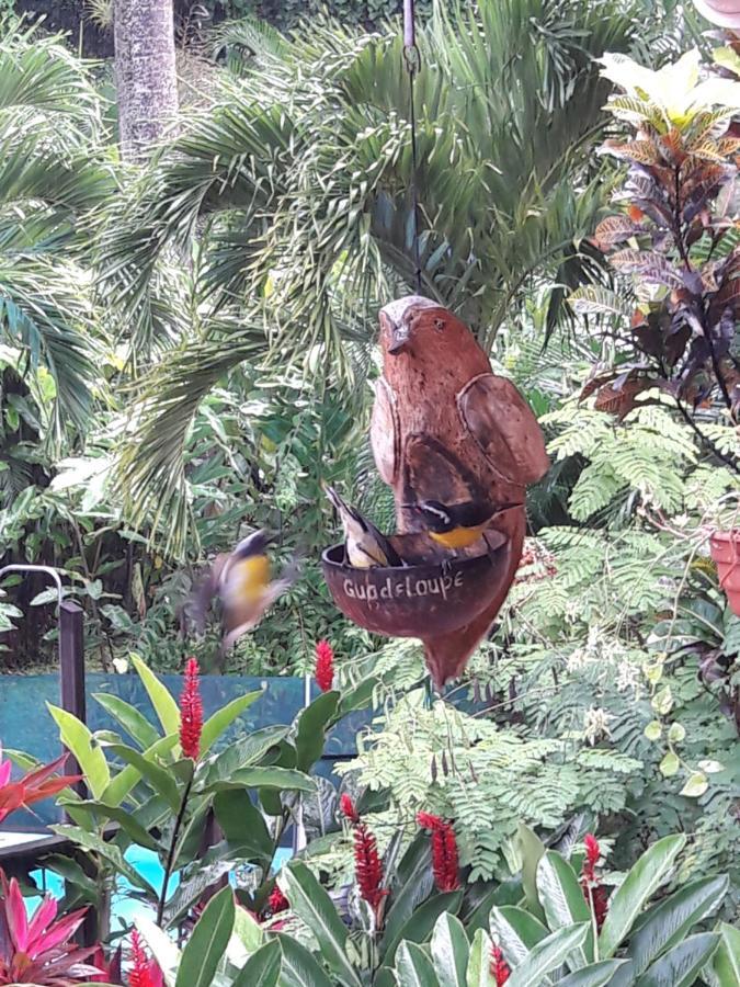 Les Jardins De L'Esperance Villa Bouillante Luaran gambar