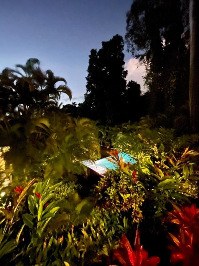 Les Jardins De L'Esperance Villa Bouillante Luaran gambar