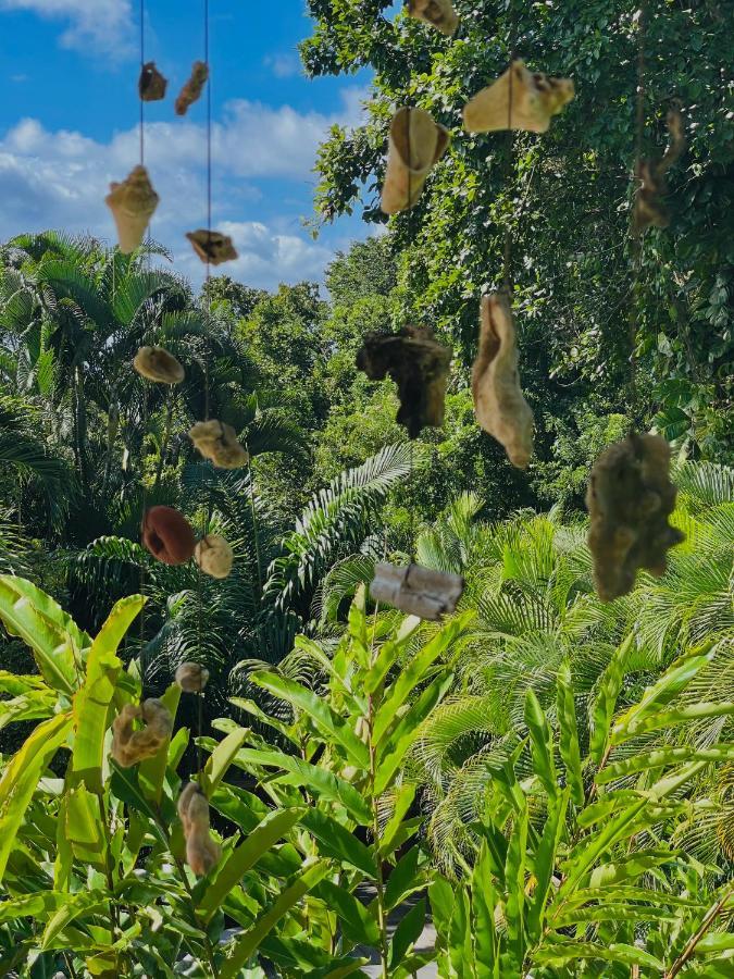 Les Jardins De L'Esperance Villa Bouillante Luaran gambar